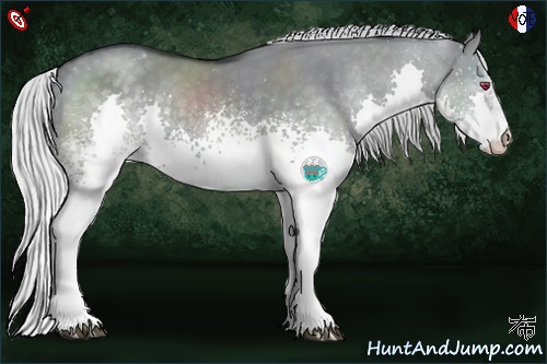 Horse Color:White Spotted Silver Grullo Chinchilla Splash