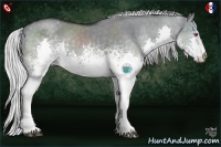 Horse Color:White Spotted Silver Grullo Chinchilla Splash