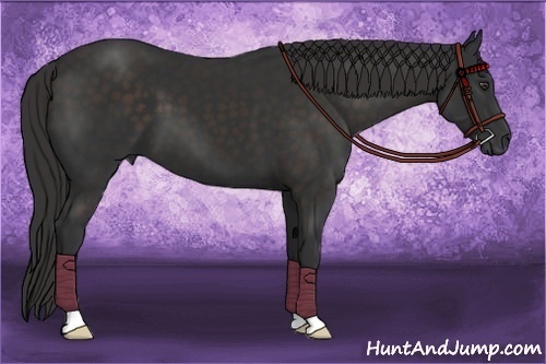 Horse Color:Liver Chestnut Frame