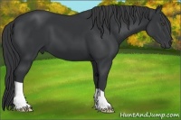 Horse Color:Black Frame 