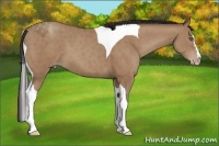 Horse Color:Classic Champagne Splash Tobiano 