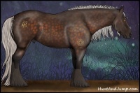 Horse Color:Silver Brown 