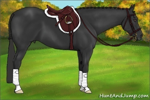 Horse Color:Liver Chestnut Frame