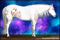 Horse Color:Bay Splash Tobiano Varnish  Brindle