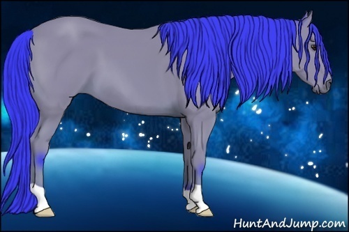 Horse Color:Watercolor Bay 