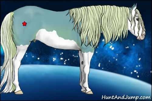 Horse Color:Watercolor Chestnut Splash 