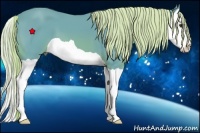 Horse Color:Watercolor Chestnut Splash 
