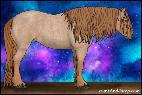 Horse Color:Red Roan 