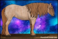 Horse Color:Red Roan 