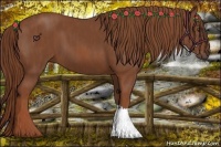 Horse Color:Chestnut  Brindle