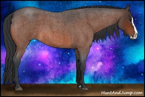 Horse Color:Bay Roan Splash 