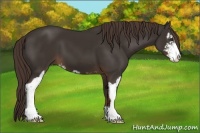 Horse Color:Liver Chestnut Sabino 
