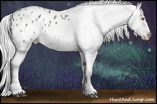 Horse Color:White Spotted Silver Black Chinchilla Appaloosa 