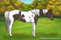Horse Color:Liver Chestnut Tobiano 