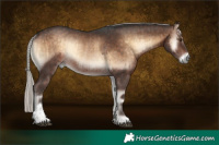 Horse Color:Silver Brown Onyx Rabicano and Silver Brown Onyx Rabicano