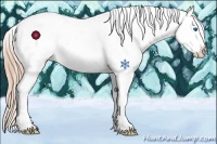 Horse Color:Liver Chestnut Frame Appaloosa 