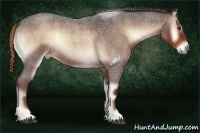 Horse Color:Liver Red Onyx Roan Sabino 
