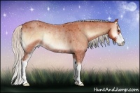 Horse Color:Silver Bay Roan Onyx Sabino Rabicano 