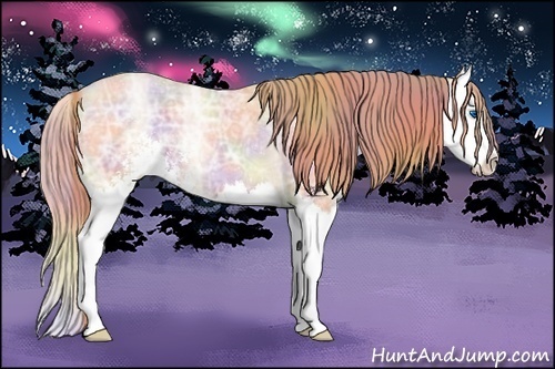 Horse Color:Nacre Buckskin Ice Pearl Sabino Splash