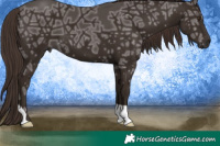 Horse Color:Liver Chestnut Ice 