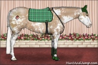 Horse Color:Silver Black Pearl Sabino