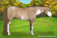 Horse Color:Black Pearl Sabino