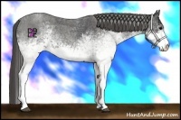 Horse Color:White Spotted Blue Roan Rabicano Brindle