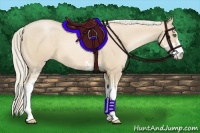 Horse Color:Palomino Pearl Sabino