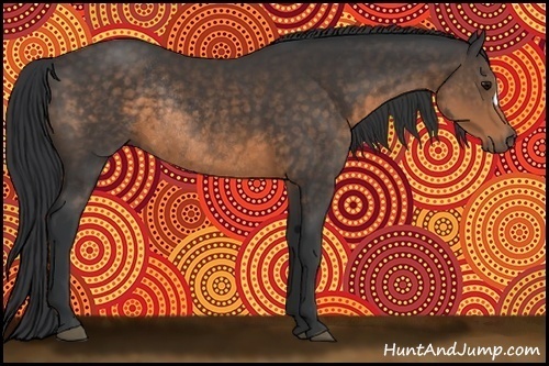 Horse Color:Buckskin Rabicano 