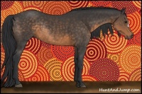 Horse Color:Buckskin Rabicano