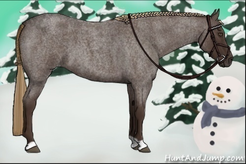 Horse Color:Liver Red Roan 