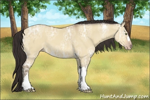 Horse Color:Amber Champagne Ice Dun 