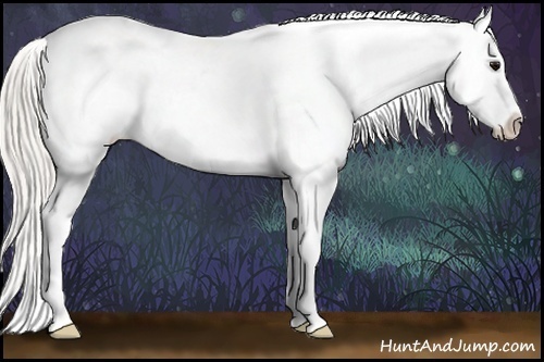 Horse Color:Silver Black Splash Appaloosa Rabicano