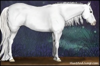 Horse Color:Silver Black Splash Appaloosa Rabicano 