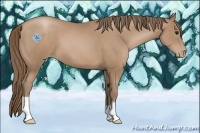 Horse Color:Black Pearl