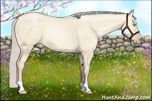 Horse Color:Palomino Pearl Dun 