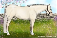 Horse Color:Palomino Pearl Dun