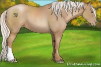 Horse Color:Silver Black Pearl