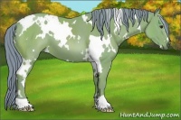 Horse Color:Watercolor White Spotted Bay 