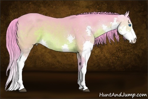Horse Color:Watercolor Buckskin Splash 