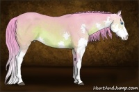 Horse Color:Watercolor Buckskin Splash