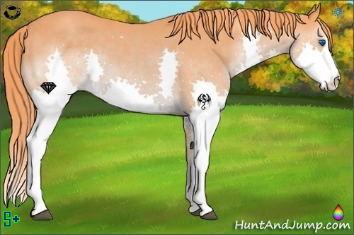 Horse Color:Watercolor Liver Chestnut Splash