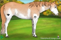 Horse Color:Watercolor Liver Chestnut Splash 