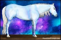 Horse Color:Chestnut Sabino Appaloosa