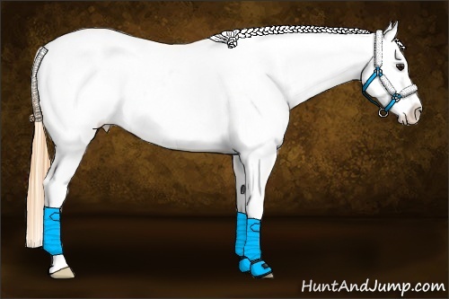 Horse Color:Buckskin Near Leopard 