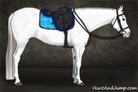 Horse Color:Black Tobiano Near Leopard Rabicano