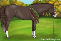 Horse Color:Liver Red Roan Splash