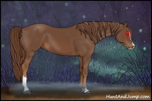 Horse Color:Chestnut Sabino