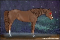 Horse Color:Chestnut Sabino