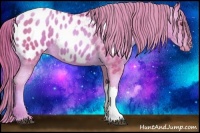 Horse Color:Watercolor Liver Chestnut Pearl Appaloosa